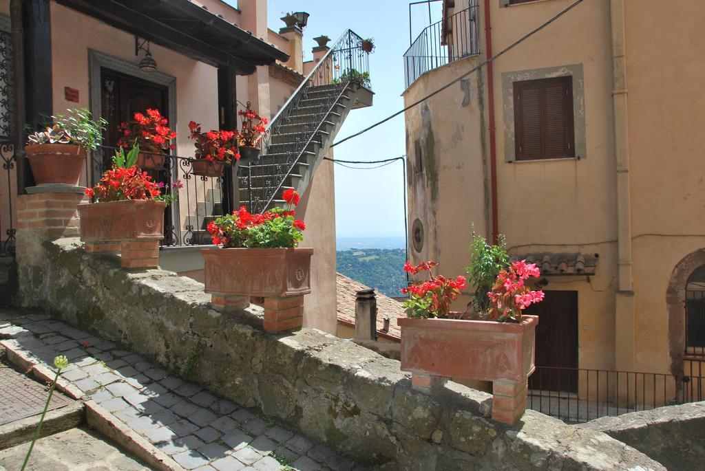 Diffuso Specchio Di Diana